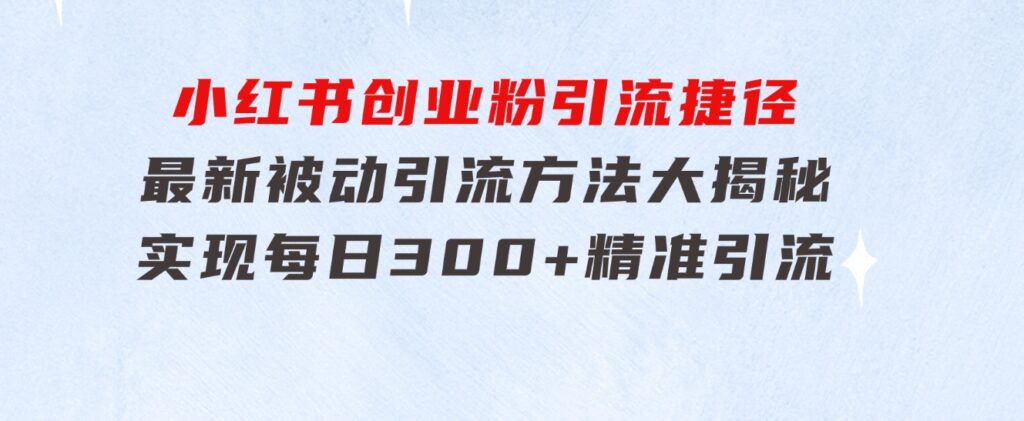 小红书创业粉引流捷径！最新被动引流方法大揭秘，实现每日300+精准引流-柚子资源网