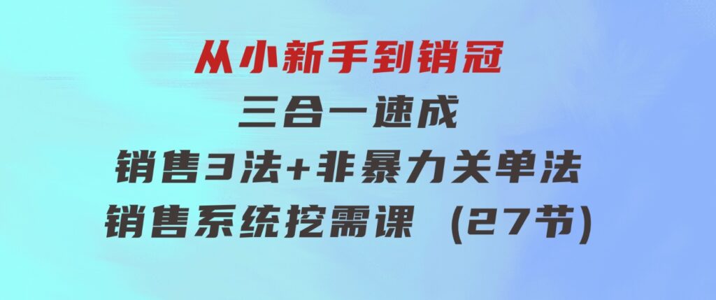 从小新手到销冠三合一速成：销售3法+非暴力关单法+销售系统挖需课(27节)-柚子资源网