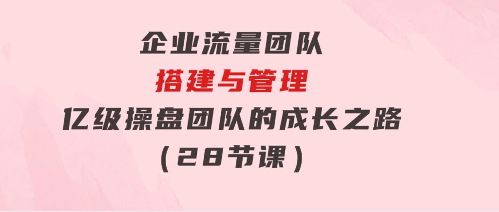 企业流量团队-搭建与管理，亿级操盘团队的成长之路（28节课）-柚子资源网