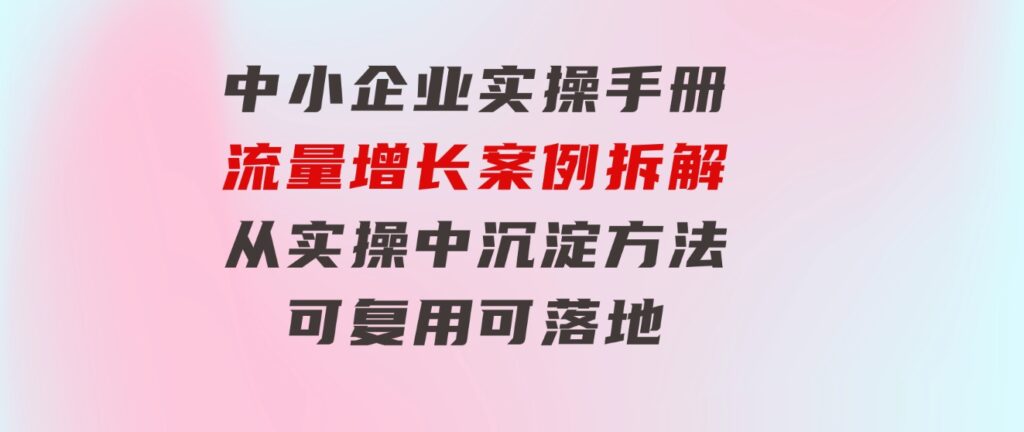 中小企业实操手册-流量增长案例拆解，从实操中沉淀方法，可复用可落地-柚子资源网