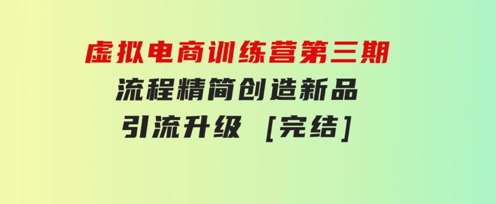 虚拟电商训练营第三期丨流程精简丨创造新品丨引流升级[完结]-柚子资源网