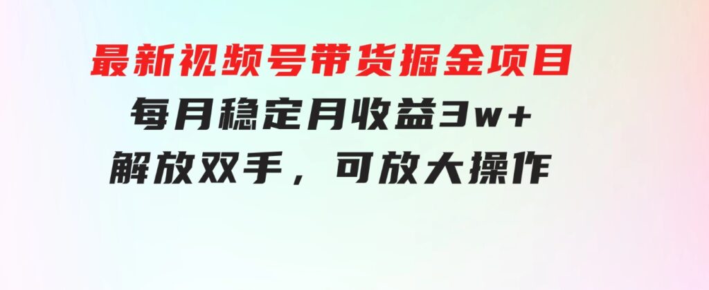 最新视频号带货掘金项目，每月稳定月收益3w+，解放双手，可放大操作-柚子资源网