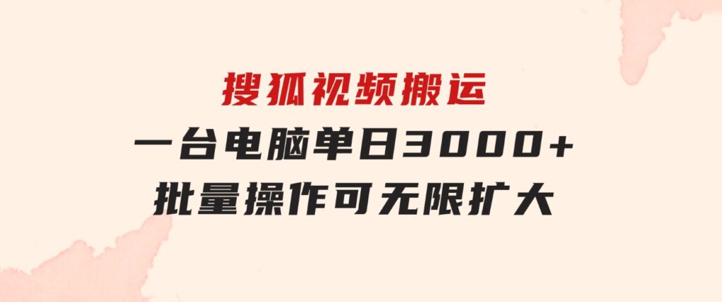 搜狐视频搬运，一台电脑单日3000+，批量操作，可无限扩大-柚子资源网