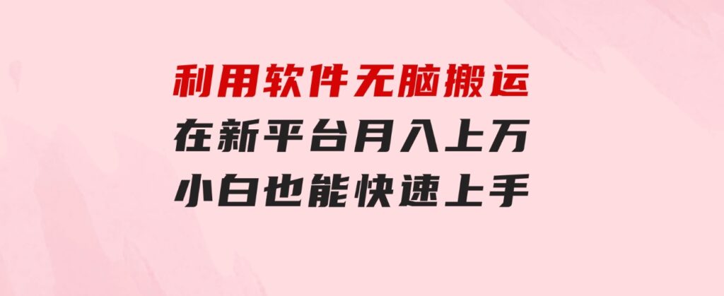 利用软件无脑搬运，在新平台月入上万，小白也能快速上手-柚子资源网