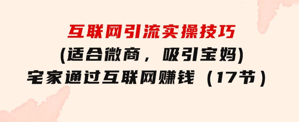 互联网引流实操技巧(适合微商，吸引宝妈)，宅家通过互联网赚钱（17节）-柚子资源网