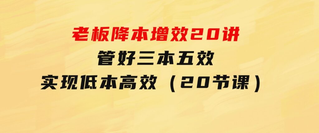 老板降本增效20讲，管好三本五效，实现低本高效（20节课）-柚子资源网