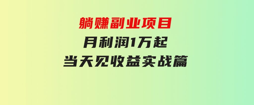 躺赚副业项目，月利润1万起，当天见收益，实战篇-柚子资源网