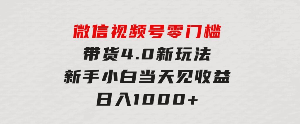 微信视频号零门槛带货4.0新玩法，新手小白当天见收益，日入1000+-柚子资源网