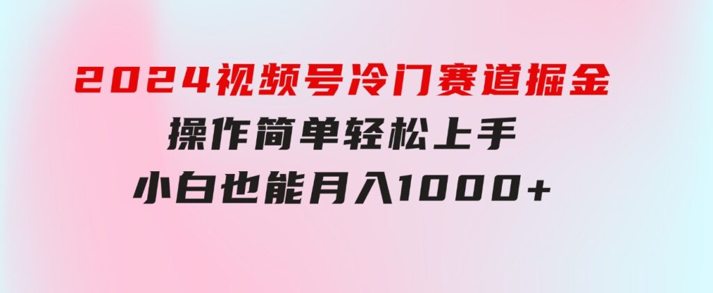 2024视频号冷门赛道掘金，操作简单轻松上手，小白也能月入1000+-柚子资源网