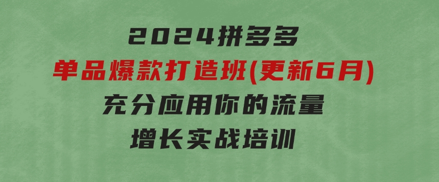 2024拼多多-单品爆款打造班(更新6月)，充分应用你的流量，增长实战培训-柚子资源网