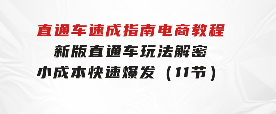 直通车速成指南电商教程：新版直通车玩法解密，小成本快速爆发（11节）-柚子资源网