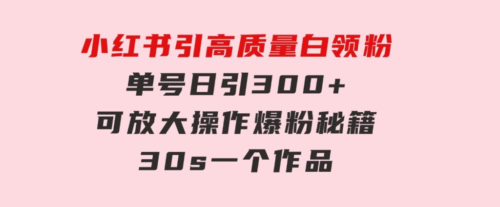 小红书引高质量白领粉，单号日引300+，可放大操作，爆粉秘籍！30s一个作品-柚子资源网