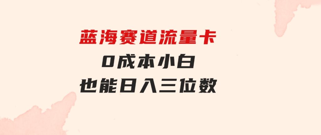 蓝海赛道流量卡0成本小白也能日入三位数-柚子资源网