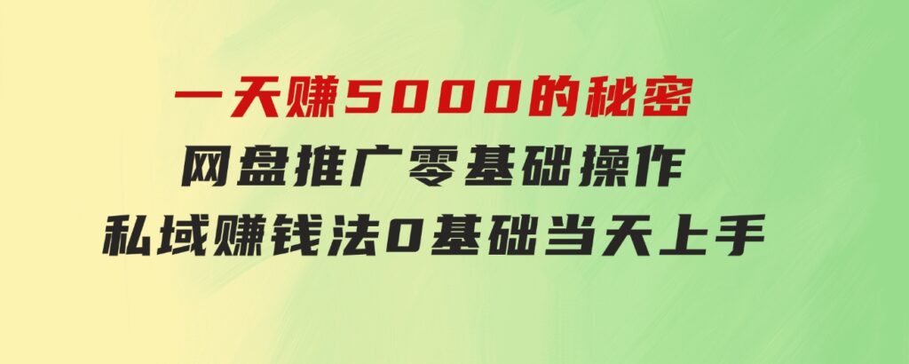 一天赚5000的秘密，网盘推广零基础操作，私域赚钱法，0基础当天上手-柚子资源网