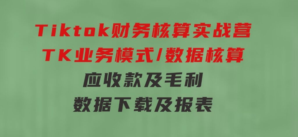 Tiktok财务核算实战营：TK业务模式/数据核算/应收款及毛利/数据下载及报表-柚子资源网