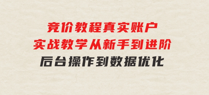 竞价教程：真实账户实战教学从新手到进阶·后台操作到数据优化-柚子资源网