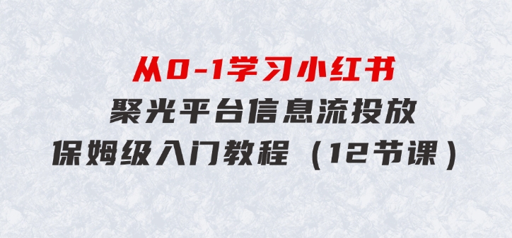 从0-1学习小红书聚光平台信息流投放，保姆级入门教程（12节课）-柚子资源网