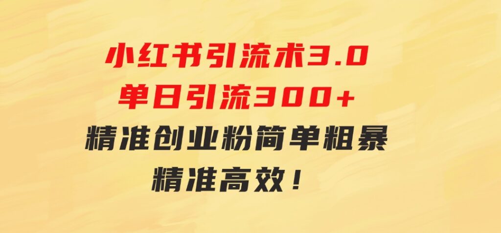 24年最新小红书引流术3.0，单日引流300+精准创业粉，简单粗暴，精准高效！-柚子资源网