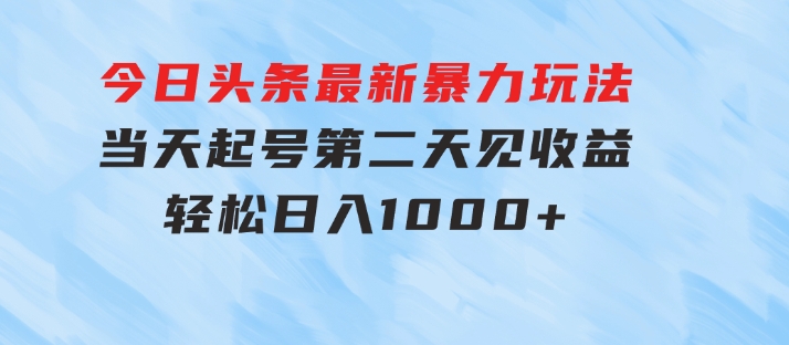 今日头条最新暴力玩法，当天起号，第二天见收益，轻松日入1000+-柚子资源网