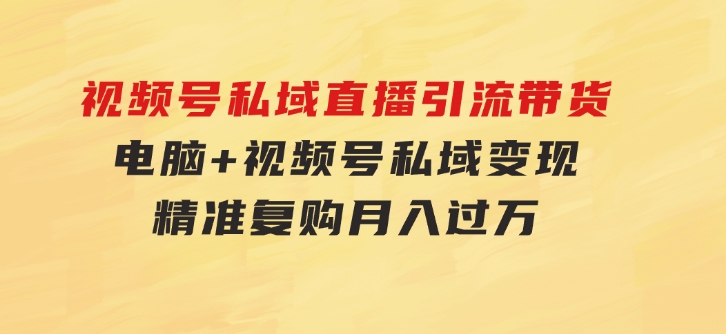 视频号私域直播引流带货：电脑+视频号，私域变现，精准复购，月入过万…-柚子资源网