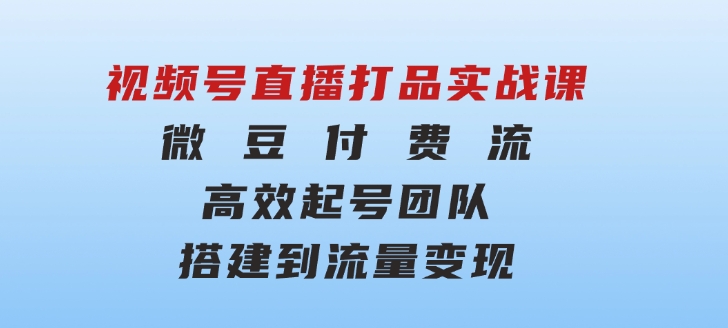 视频号直播打品实战课：微豆付费流，高效起号，团队搭建到流量变现-柚子资源网