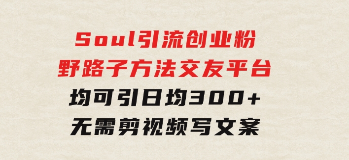 Soul引流创业粉野路子方法，交友平台均可引日均300+，无需剪视频写文案-柚子资源网