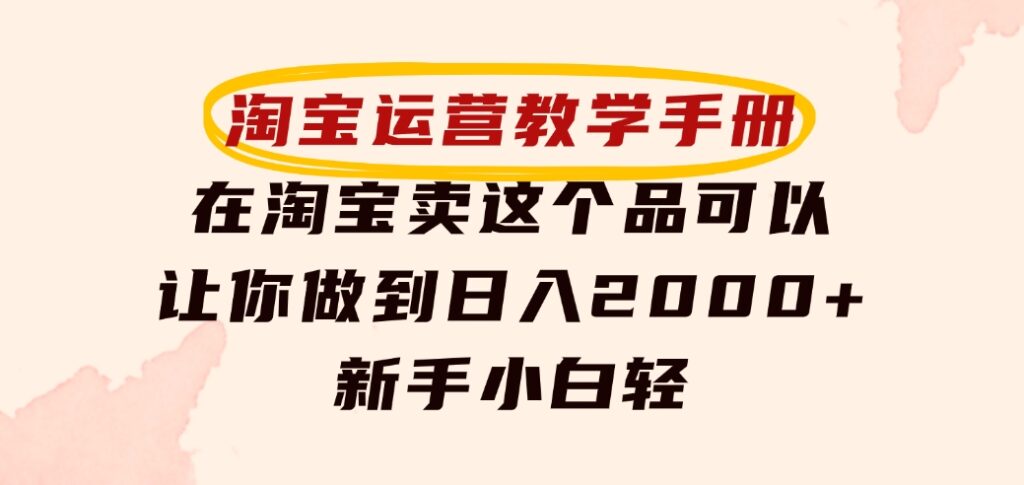 淘宝运营教学手册，在淘宝卖这个品可以让你做到日入2000+，新手小白轻-柚子资源网