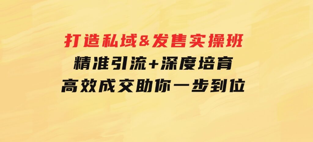 打造私域&发售实操班：精准引流+深度培育+高效成交，助你一步到位-柚子资源网