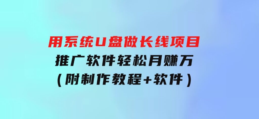 用系统U盘做长线项目，推广软件轻松月赚万元（附制作教程+软件）-柚子资源网