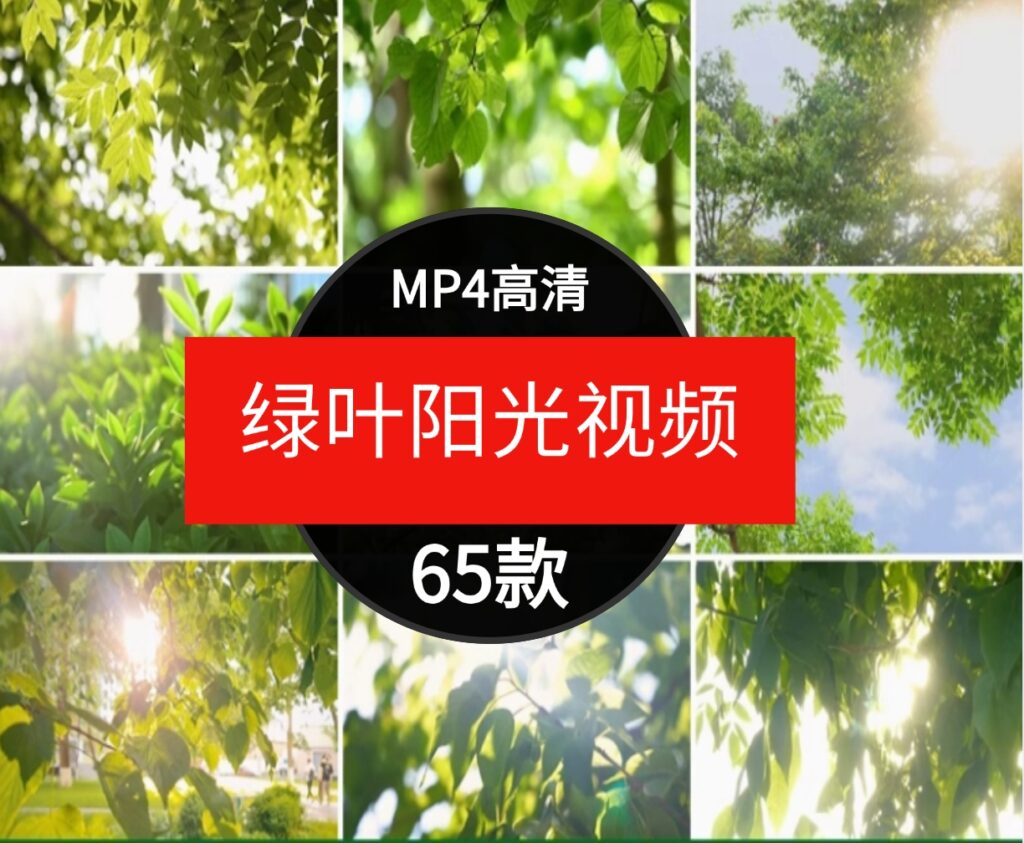 绿色小清新阳光穿透树叶自然美景森林治愈情感背景短片4K视频素材-柚子资源网