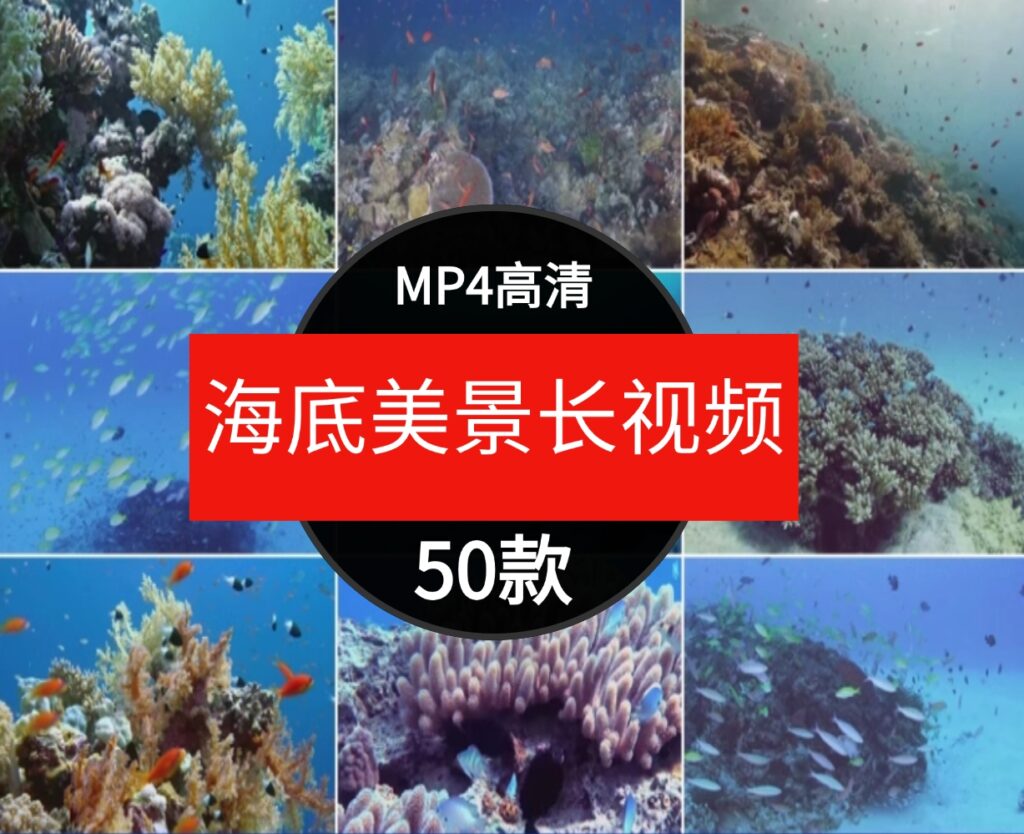 高清海底世界海洋生物鱼群海豚鲨鱼珊瑚潜水特写实拍剪辑视频素材-柚子资源网