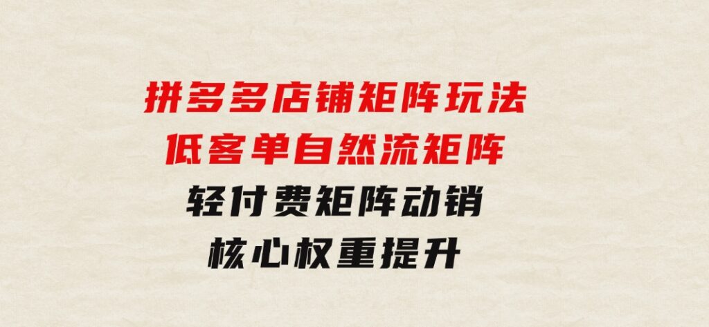 拼多多店铺矩阵玩法：低客单自然流矩阵/轻付费矩阵动销/核心权重提升-柚子资源网