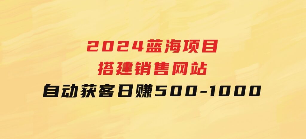 2024蓝海项目，搭建销售网站，自动获客，日赚500-1000-柚子资源网