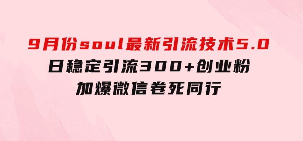 9月份soul最新引流技术5.0，日稳定引流300+创业粉，加爆微信，卷死同行-柚子资源网