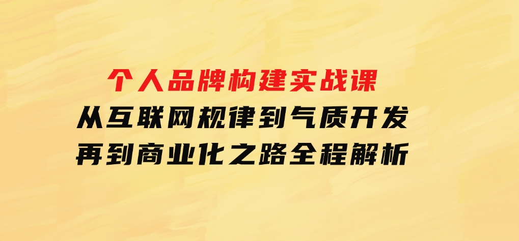 个人品牌构建实战课：从互联网规律到气质开发，再到商业化之路，全程解析-柚子资源网