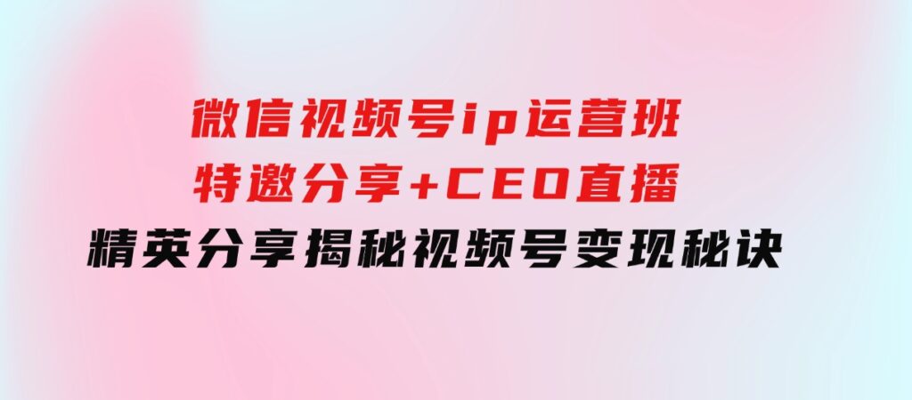 微信视频号ip运营班：特邀分享+CEO直播+精英分享，揭秘视频号变现秘诀-柚子资源网