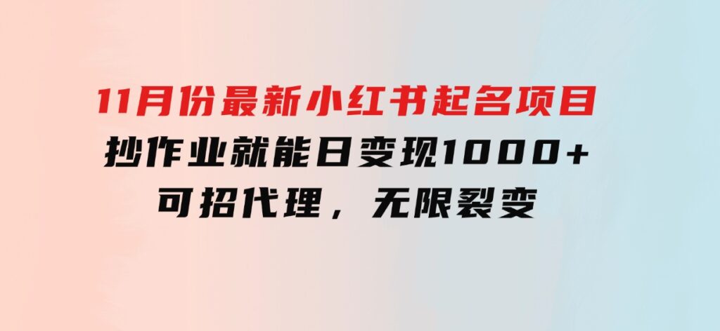 11月份最新小红书起名项目，抄作业就能日变现1000+，可招代理，无限裂变-柚子资源网