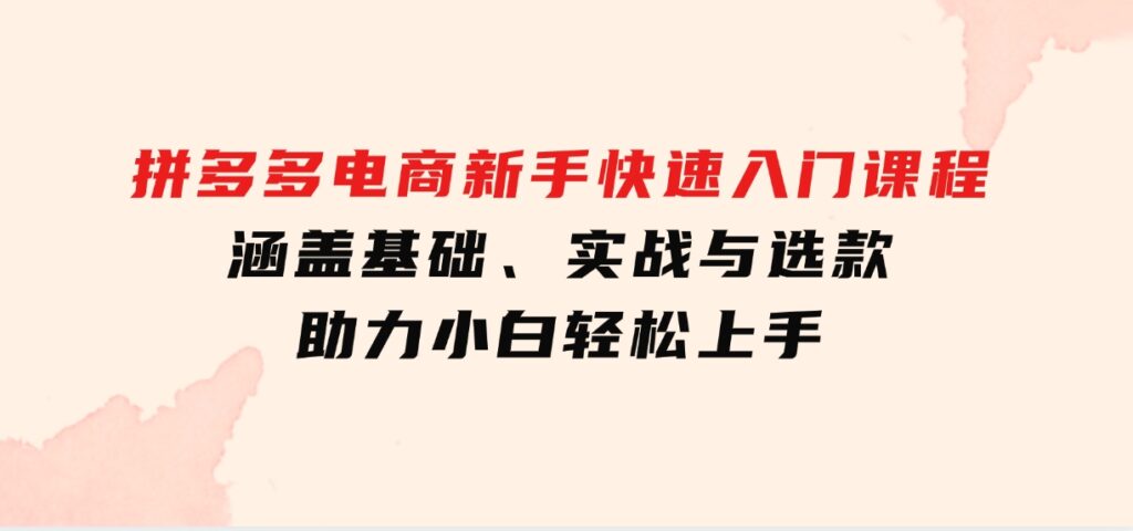 拼多多电商新手快速入门课程：涵盖基础、实战与选款，助力小白轻松上手-柚子资源网