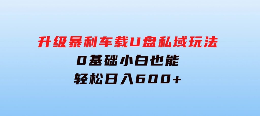 升级暴利车载U盘私域玩法，0基础小白也能轻松日入600+-柚子资源网