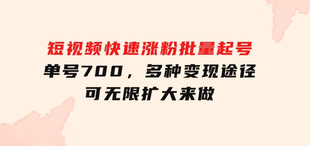 短视频快速涨粉，批量起号，单号700，多种变现途径，可无限扩大来做。-柚子资源网