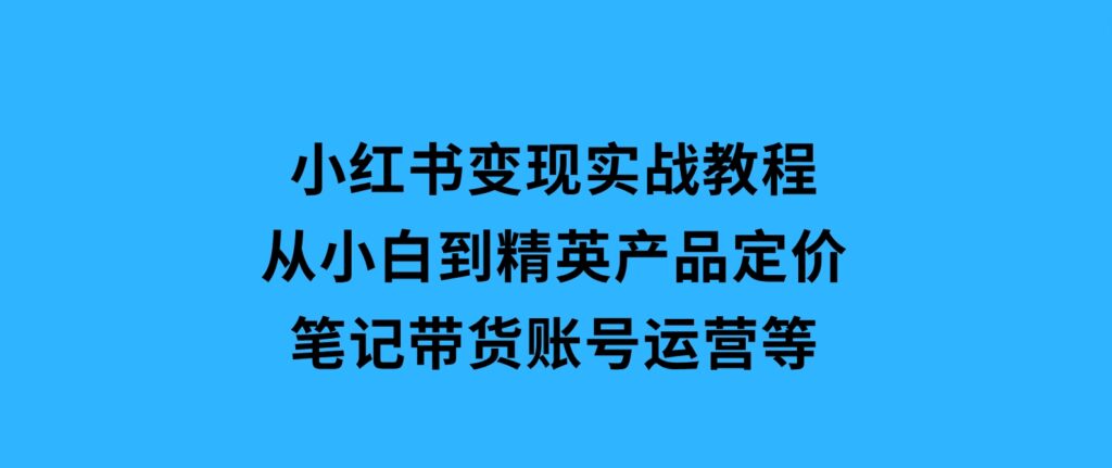 小红书变现实战教程：从小白到精英，产品定价，笔记带货，账号运营等-柚子资源网