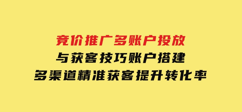 竞价推广多账户投放与获客技巧，账户搭建，多渠道精准获客，提升转化率-柚子资源网