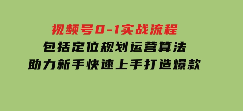 视频号0-1实战流程，包括定位规划、运营算法，助力新手快速上手，打造爆款-柚子资源网