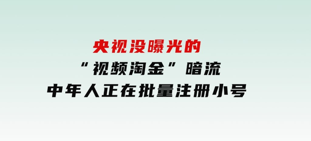 央视没曝光的“视频淘金”暗流：中年人正在批量注册小号-柚子资源网